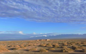 财荫夹印格能掌多少财