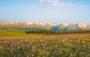 客厅风水布局有什么讲究
