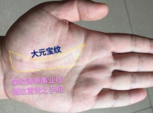 女人左手元宝纹手相好吗