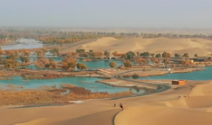 杀破狼格局贪狼入命