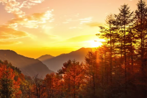 各星入命宫的性格相貌