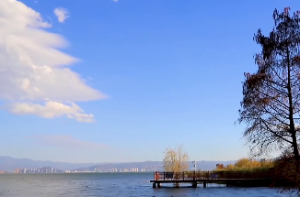 男孩亥时出生最好命