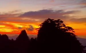 虎对应的地支是