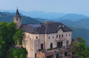 伤官主事好不好