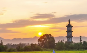 狗年的天干地支