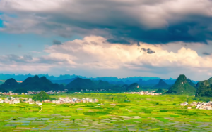  紫微斗数诸星落命宫之:天机星