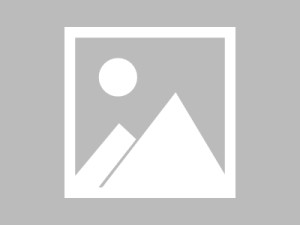 八字里面每个字代表什么