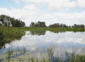 八字看你的婚姻是否幸福美满