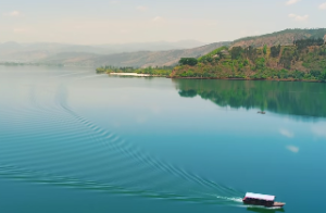 免费查王亭之紫微斗数排盘