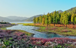 伤病牢狱之灾的八字