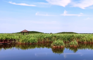  土命和木命好吗?