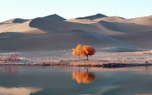 八字与风水有什么关系