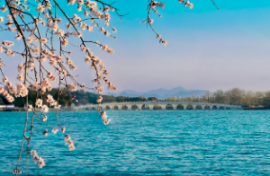 天干地支五行怎么算