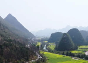 水木清华格局什么性格