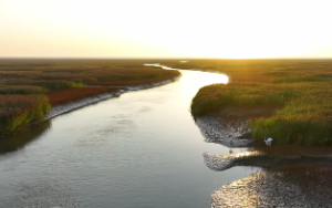 紫微星-基本星情