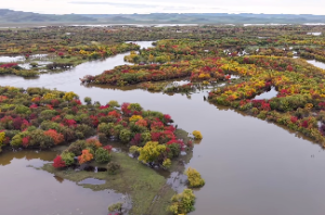 八字中的命主什么意思