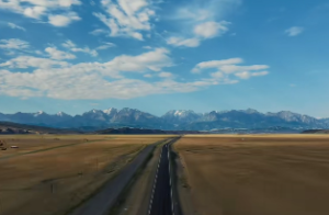 狮子在风水中的象征意义