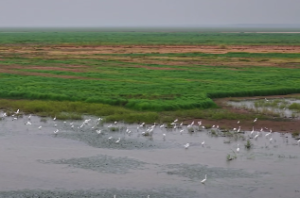  紫微斗数中命主星和身主星