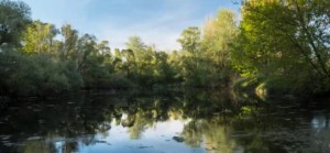 女命八字的讲究