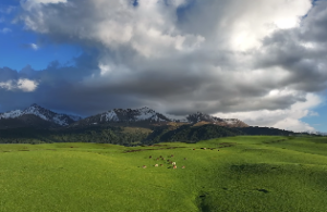 八字地支六冲及其用法详解