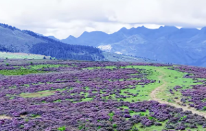 泽天夬卦 到底好不好