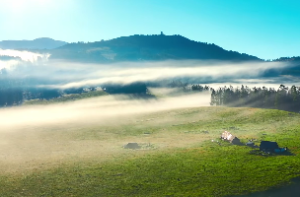 泽雷随卦感情 随卦的释义和主要象意