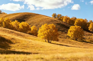 八字论羊刃(羊刃格)