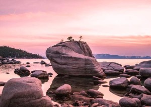 中西坟地柏树风水不同的原因