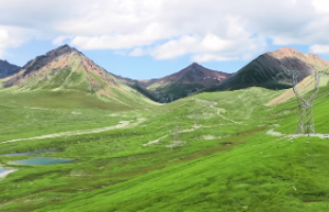 桃花星为忌的各种表现