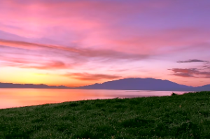 逢命局是什么意思