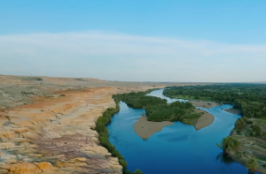 八字看离家外出发展之命