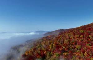 四柱八字看结婚年龄