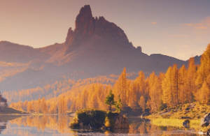 天机大限适合做什么