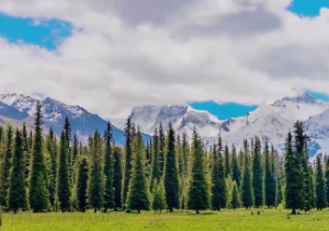 算命口诀30句简单实用