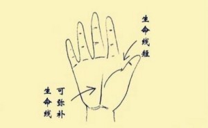 手掌生命线怎么看寿命长短
