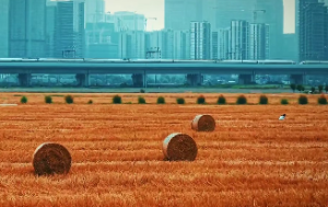 补庚金最好佩戴什么