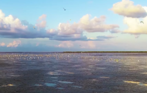 桑柘木命是哪一年