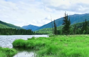 火铃夹命格是不是就废了