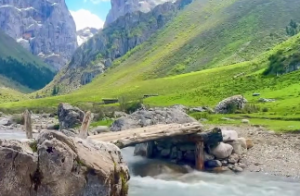  钗钏金和石榴木相克厉害吗