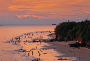 为什么这么多人相信算命