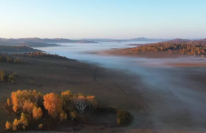 天姚星在十二宫男女命