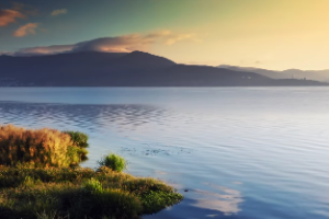 廉贞星是怎么吸引人的