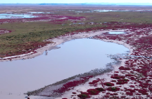 四柱八字看婚姻秘诀