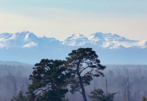 算命口诀五十句