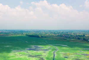 八字中何为墓库