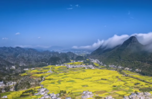 泽山咸卦是什么意思