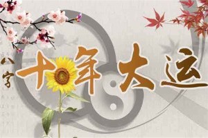 八字十年大运详解
