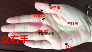 手相五指并拢没缝隙的女人命运
