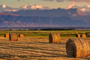 盲派看做功层次
