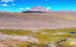 四柱十二宫怎么推算